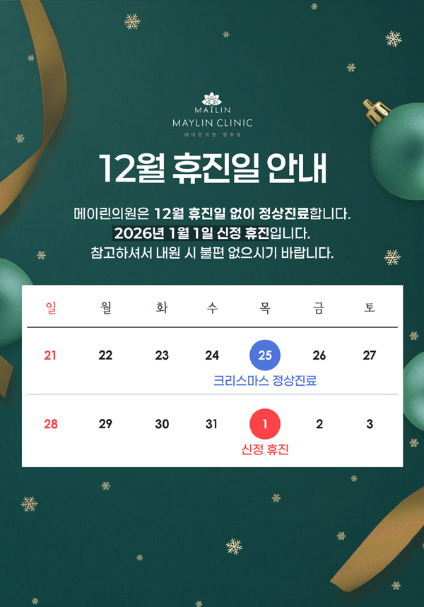 12월 휴진일